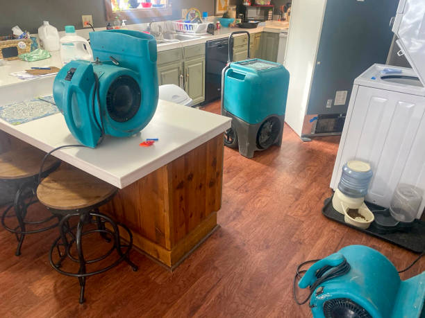 Best Local water damage restoration  in Earlysville, VA