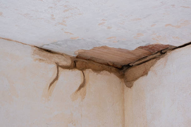 Best Ceiling water damage repair  in Earlysville, VA