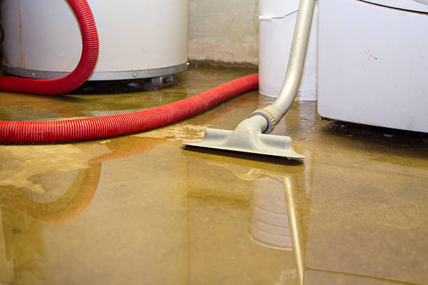 Best Carpet water damage restoration  in Earlysville, VA