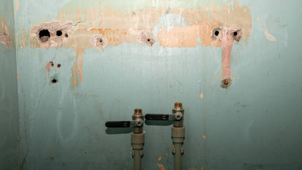 Best Commercial water damage restoration  in Earlysville, VA